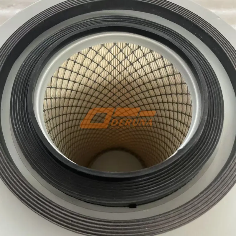 WG9412190022/1 Air Filter Spanish