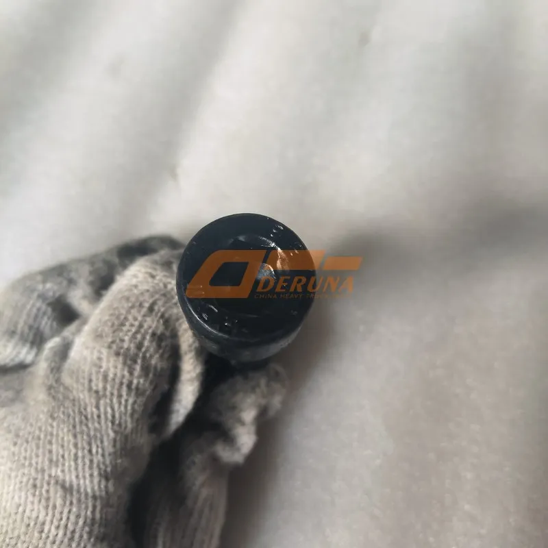 Sitrak Caliper RK Hex Socket Screw In Cylinder Head