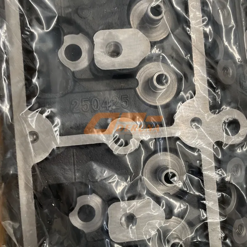 D30-1003170K Cylinder Head Assembly