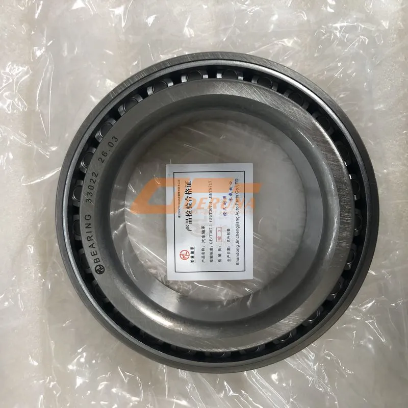 33220+33022 Rear Wheel Bearing