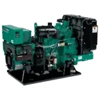 Cummins Standard Diesel Generators