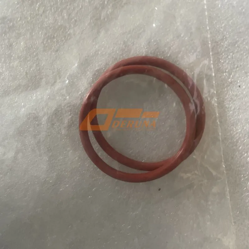 Sealing Ring