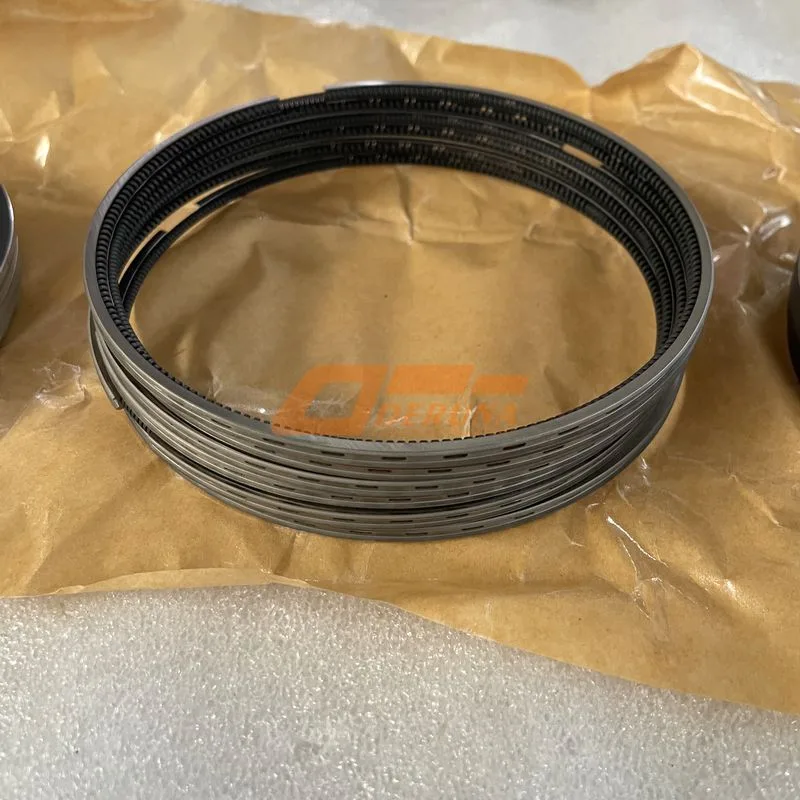 202V025036022 Piston Rings