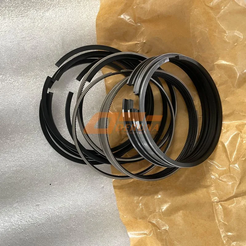 202V025036022 Piston Rings