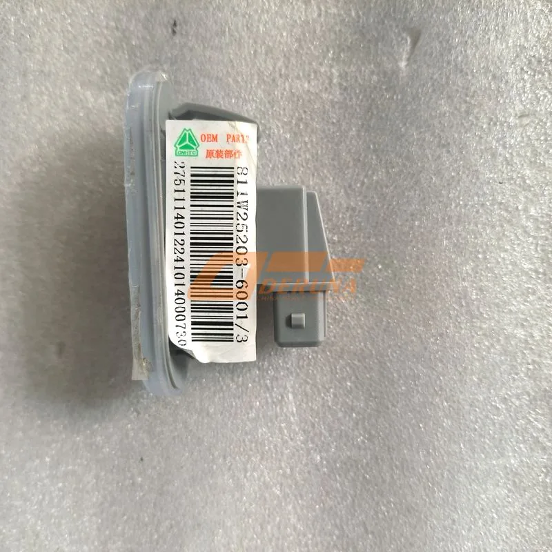 811W25203-6001 Door Light