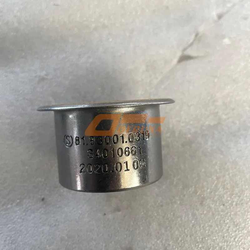 AZ9719360060 Self-Lubricating Bushing