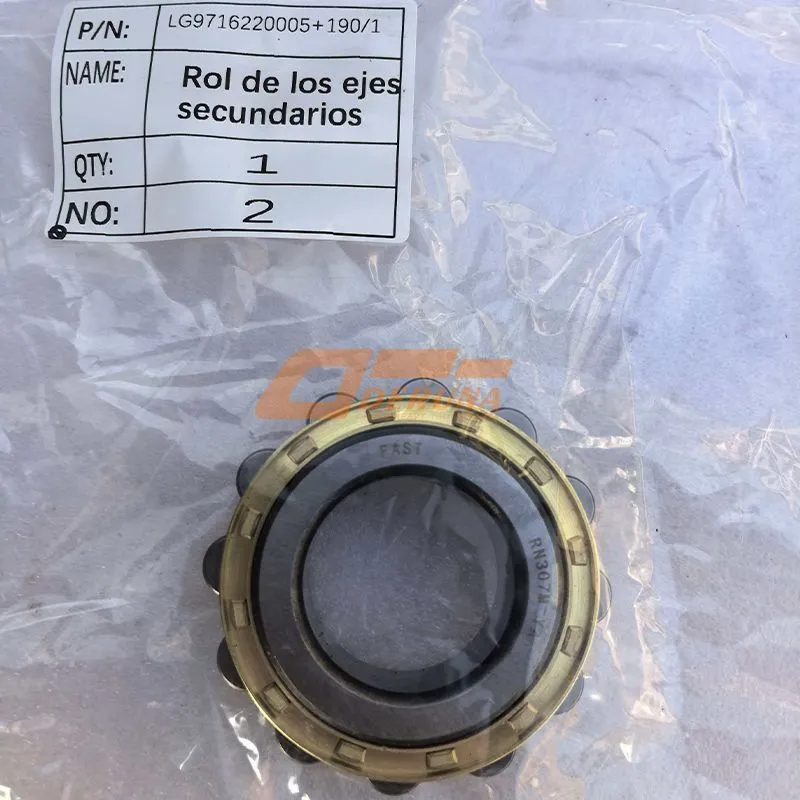 LG9716220005+210/1 Rn307M/Ya Cylindrical Roller Bearing